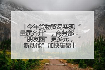 今年货物贸易实现“量质齐升”，商务部：“朋友圈”更多元，“新动能”加快集聚