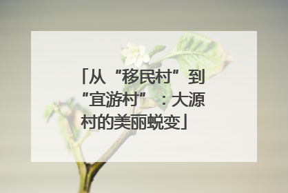 从“移民村”到“宜游村”：大源村的美丽蜕变