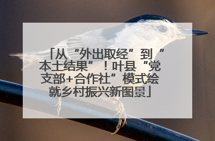 从“外出取经”到“本土结果”！叶县“党支部+合作社”模式绘就乡村振兴新图景