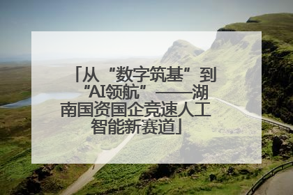 从“数字筑基”到“AI领航”——湖南国资国企竞速人工智能新赛道