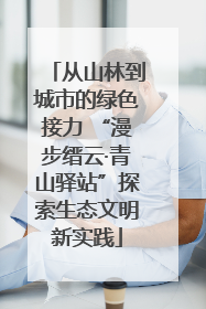 从山林到城市的绿色接力 “漫步缙云·青山驿站”探索生态文明新实践