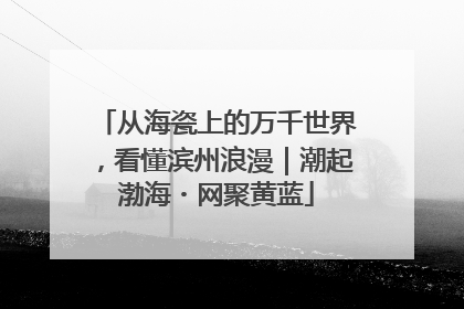 从海瓷上的万千世界，看懂滨州浪漫｜潮起渤海・网聚黄蓝