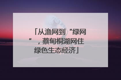 从渔网到“绿网”，蔡甸桐湖网住绿色生态经济