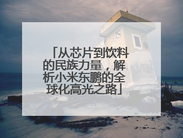 从芯片到饮料的民族力量，解析小米东鹏的全球化高光之路