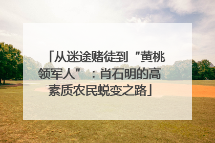 从迷途赌徒到“黄桃领军人”：肖石明的高素质农民蜕变之路