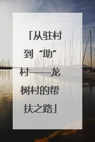 从驻村到“助”村——龙树村的帮扶之路