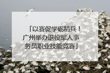 以赛促学砺精兵！广州举办退役军人事务员职业技能竞赛