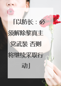 以防长：必须解除黎真主党武装 否则将继续采取行动