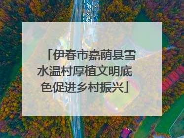 伊春市嘉荫县雪水温村厚植文明底色促进乡村振兴