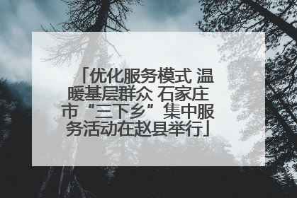 优化服务模式 温暖基层群众 石家庄市“三下乡”集中服务活动在赵县举行