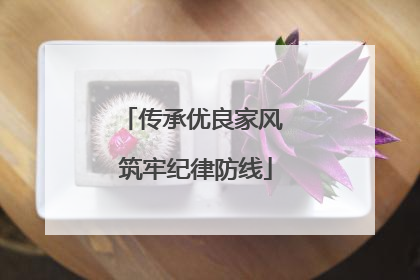 传承优良家风 筑牢纪律防线
