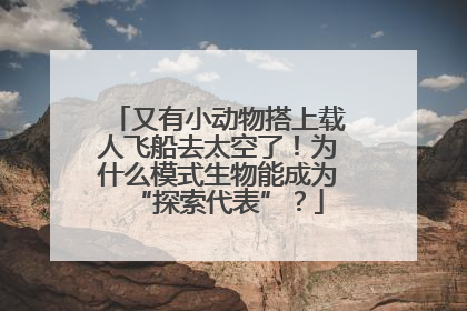 又有小动物搭上载人飞船去太空了！为什么模式生物能成为“探索代表”？