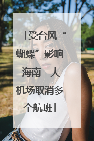 受台风“蝴蝶”影响 海南三大机场取消多个航班