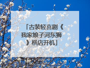 古装轻喜剧《我家娘子河东狮》横店开机