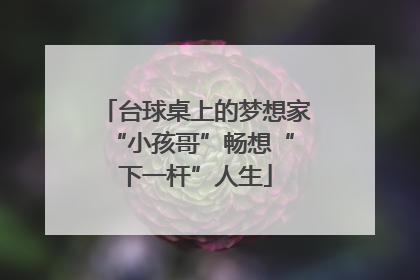 台球桌上的梦想家 “小孩哥”畅想“下一杆”人生