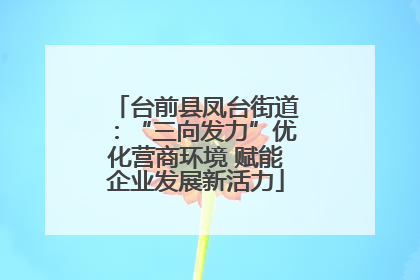 台前县凤台街道：“三向发力”优化营商环境 赋能企业发展新活力