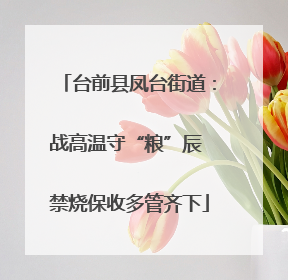 台前县凤台街道：战高温守“粮”辰 禁烧保收多管齐下