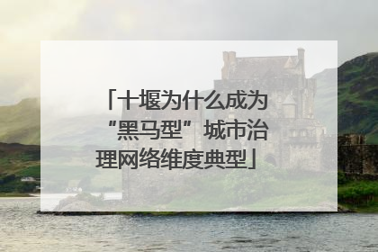 十堰为什么成为“黑马型”城市治理网络维度典型