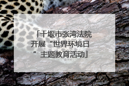 十堰市张湾法院开展“世界环境日”主题教育活动
