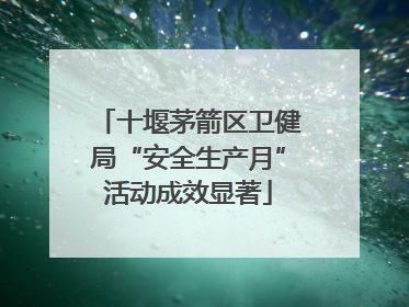 十堰茅箭区卫健局“安全生产月”活动成效显著