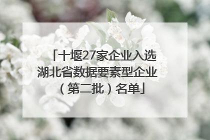 十堰27家企业入选湖北省数据要素型企业（第二批）名单