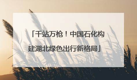 千站万枪！中国石化构建湖北绿色出行新格局