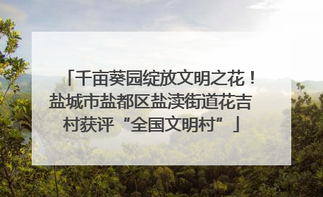 千亩葵园绽放文明之花！盐城市盐都区盐渎街道花吉村获评“全国文明村”