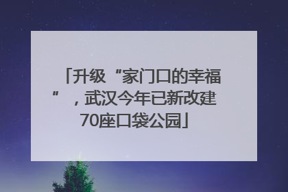 升级“家门口的幸福”，武汉今年已新改建70座口袋公园