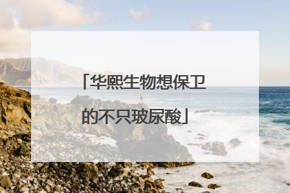 华熙生物想保卫的不只玻尿酸
