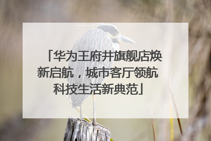 华为王府井旗舰店焕新启航，城市客厅领航科技生活新典范