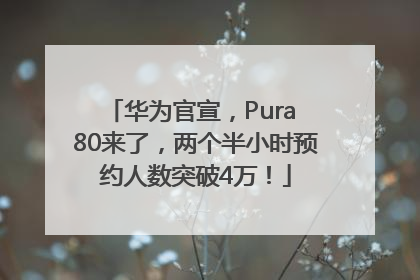 华为官宣，Pura 80来了，两个半小时预约人数突破4万！