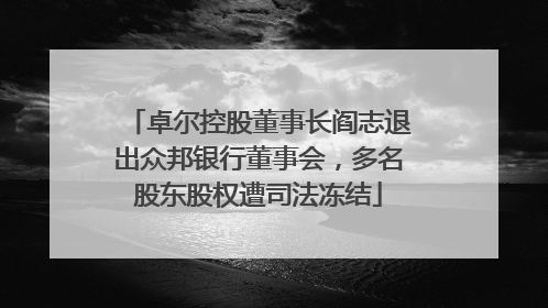 卓尔控股董事长阎志退出众邦银行董事会，多名股东股权遭司法冻结