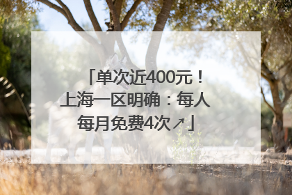 单次近400元！上海一区明确：每人每月免费4次↗
