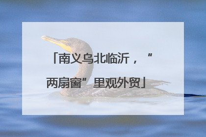 南义乌北临沂，“两扇窗”里观外贸
