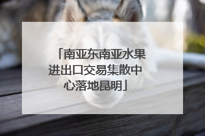南亚东南亚水果进出口交易集散中心落地昆明