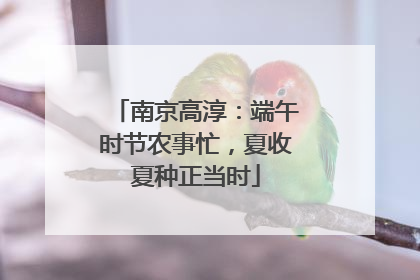 南京高淳：端午时节农事忙，夏收夏种正当时