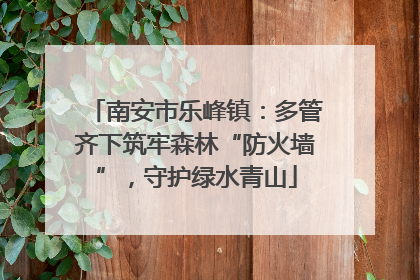 南安市乐峰镇：多管齐下筑牢森林“防火墙”，守护绿水青山