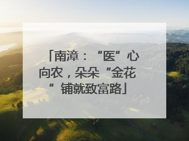 南漳：“医”心向农，朵朵“金花”铺就致富路