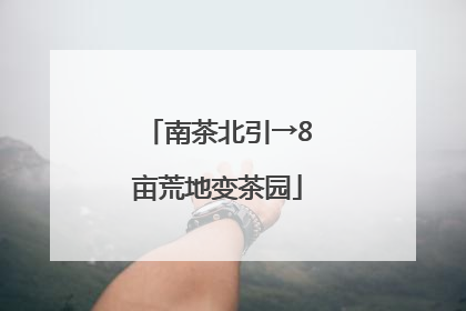 南茶北引→8亩荒地变茶园