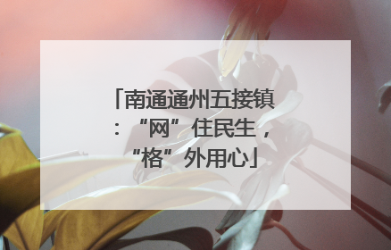 南通通州五接镇：“网”住民生，“格”外用心