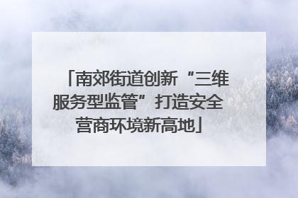 南郊街道创新“三维服务型监管”打造安全营商环境新高地