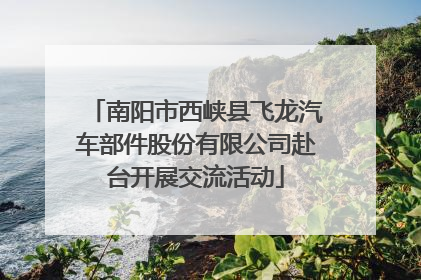 南阳市西峡县飞龙汽车部件股份有限公司赴台开展交流活动
