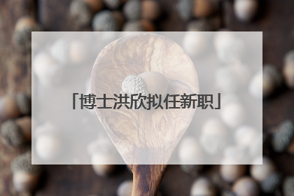 博士洪欣拟任新职