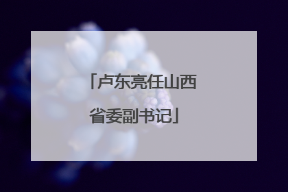 卢东亮任山西省委副书记