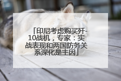 印尼考虑购买歼-10战机，专家：实战表现和两国防务关系深化是主因
