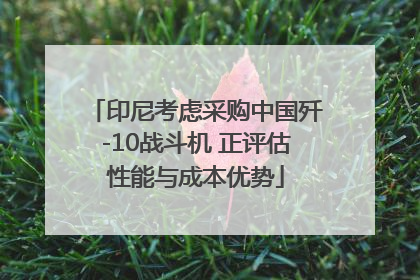 印尼考虑采购中国歼-10战斗机 正评估性能与成本优势