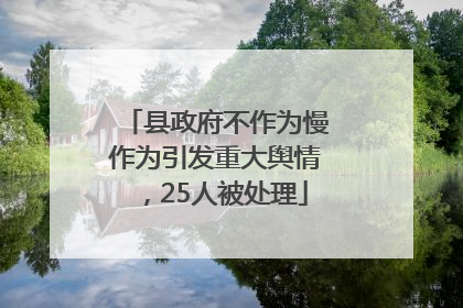 县政府不作为慢作为引发重大舆情，25人被处理
