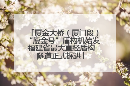 厦金大桥（厦门段）“厦金号”盾构机始发 福建省最大直径盾构隧道正式掘进
