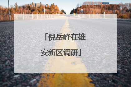 倪岳峰在雄安新区调研