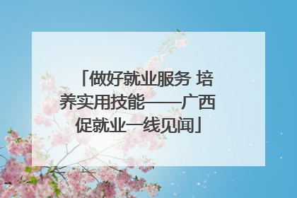 做好就业服务 培养实用技能——广西促就业一线见闻